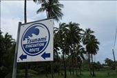 These tsunami signs appear every few hundred metres around Rarotongas ring road, pointing to higher ground: by crustyadventures, Views[349]