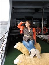 Land ahoy!  View from the sheep's back aboard the Mona Roma ferry, returning after a 6 hour art stint.: by crustyadventures, Views[879]