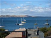 I just loved that Battery Point is the closest suburb to the Hobart CBD and yet, there were views from many streets across the Derwent River to bare hills.  Not a ticky-tacky box estate in sight.  Something to be said for small cities.  : by crustyadventures, Views[894]