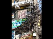 At every corner an Electrician's nightmare.: by cruzensuzan, Views[222]