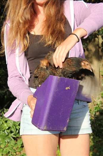 Sometimes they make the process difficult.