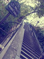 sometimes better than the view: by ctefi, Views[113]