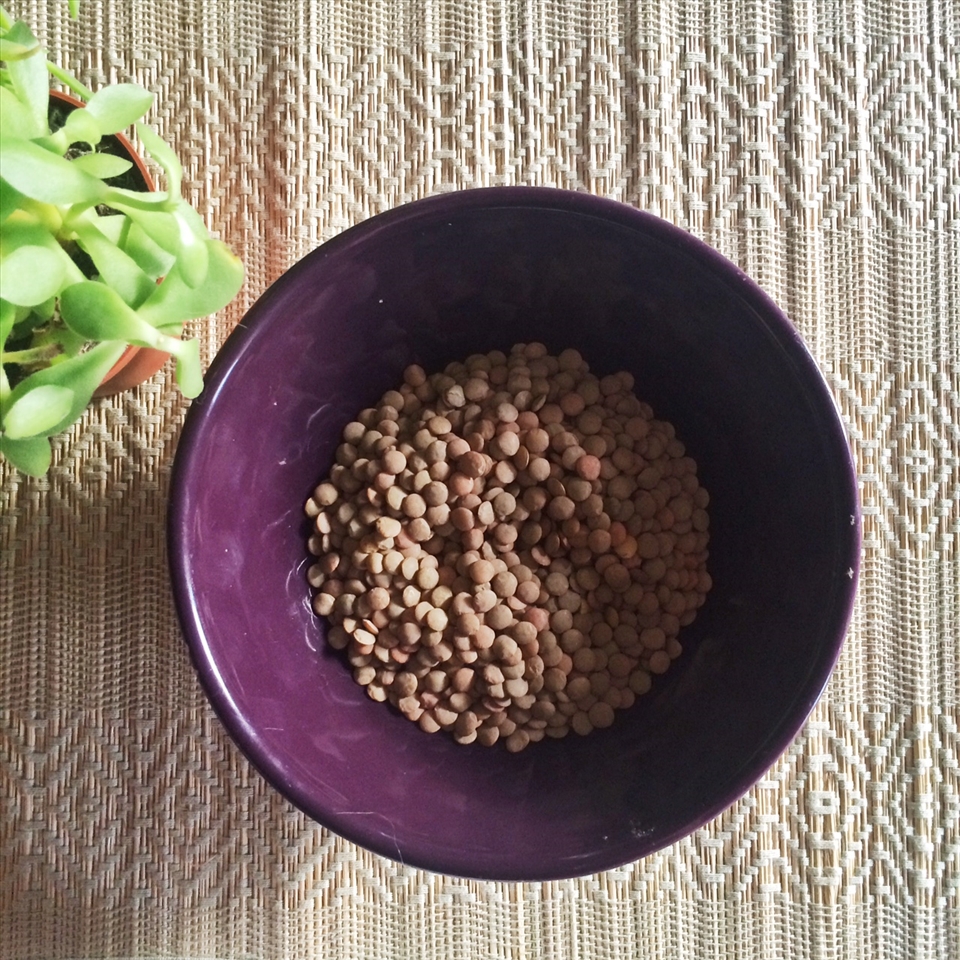 Lentils are ideal desert fodder and soak up other flavours brilliantly
