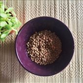 Dried lentils are perfect desert fodder - they travel well and soak up flavour: by ctnelson, Views[356]