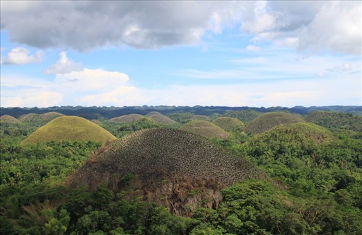 The Chocolate Hills of Bohol welcome any tourist visiting the area. These are the famous hills formed by the uplift of coral deposits combined with rainwater erosion, though the locals have their own share of mythology as to how these were formed—from the debris of feuding giants, to the tears of a heartbroken giantess, even the feces of a giant carabao! During the dry season, the hills swap out their verdant green for chocolate brown—and the hill at the center of this shot caught my attention, as it chose to stand out from the sea of its green brothers and sisters.