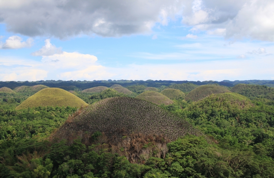 The Chocolate Hills of Bohol welcome any tourist visiting the area. These are the famous hills formed by the uplift of coral deposits combined with rainwater erosion, though the locals have their own share of mythology as to how these were formed—from the debris of feuding giants, to the tears of a heartbroken giantess, even the feces of a giant carabao! During the dry season, the hills swap out their verdant green for chocolate brown—and the hill at the center of this shot caught my attention, as it chose to stand out from the sea of its green brothers and sisters.