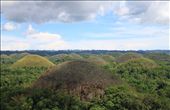 The Chocolate Hills of Bohol welcome any tourist visiting the area. These are the famous hills formed by the uplift of coral deposits combined with rainwater erosion, though the locals have their own share of mythology as to how these were formed—from the debris of feuding giants, to the tears of a heartbroken giantess, even the feces of a giant carabao! During the dry season, the hills swap out their verdant green for chocolate brown—and the hill at the center of this shot caught my attention, as it chose to stand out from the sea of its green brothers and sisters.: by ctrinidad, Views[1091]