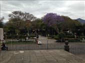 Parque Central: by cubannomad, Views[273]