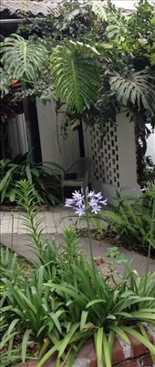 Wifi garden : by cubannomad, Views[258]