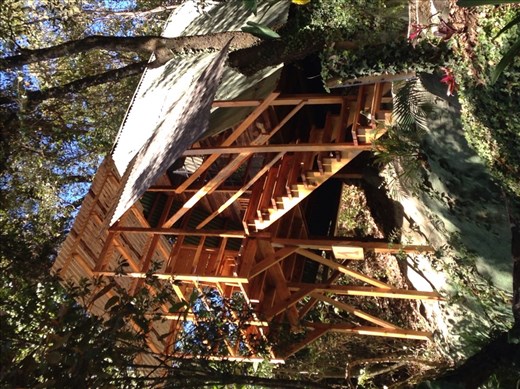 Tree house. You can rent one 