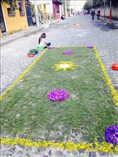 by cubannomad, Views[225]