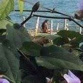 Man on Dock (1) : by cubannomad, Views[255]