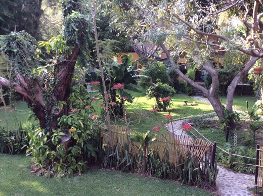 Garden at hotel