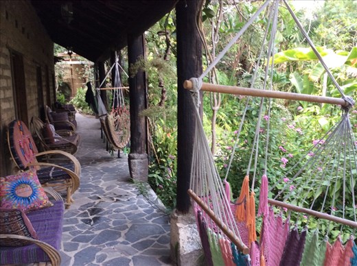 Hammocks and more hammocks 