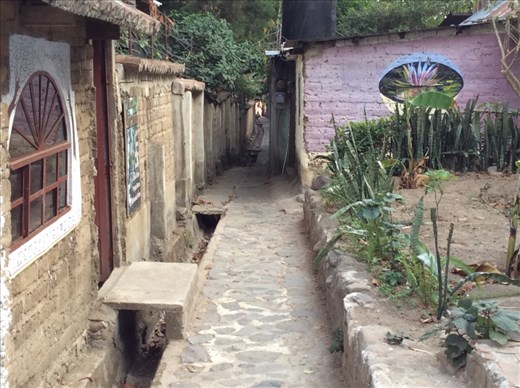 A quaint street in San Marcos 
