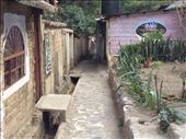 A quaint street in San Marcos : by cubannomad, Views[229]
