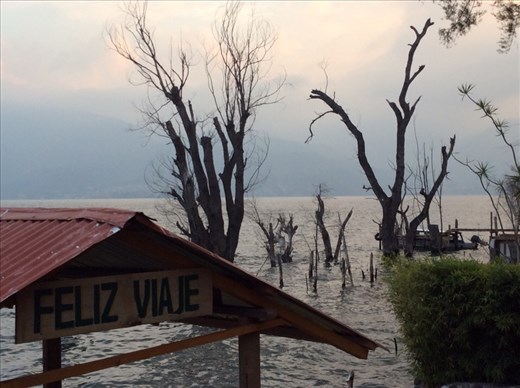 Dusk from my terrace 