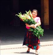 by cubannomad, Views[245]