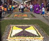 by cubannomad, Views[218]