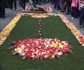 by cubannomad, Views[210]