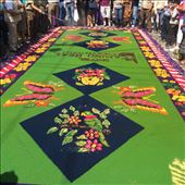 This carpet took 25 men working on it from midnight to 7am .: by cubannomad, Views[283]