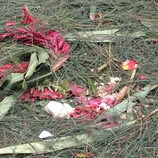 After the  procession  is over.. No moré carpets. 