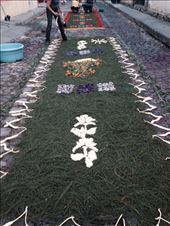 by cubannomad, Views[217]