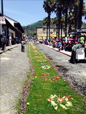 by cubannomad, Views[368]