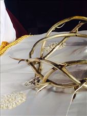 Crown of thorns : by cubannomad, Views[239]