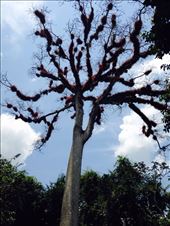 by cubannomad, Views[201]