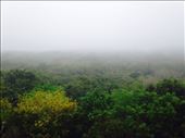 by cubannomad, Views[195]