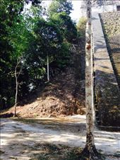 by cubannomad, Views[247]