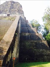 by cubannomad, Views[338]