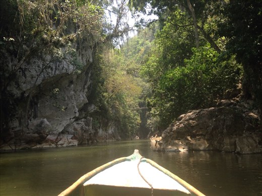 Canoe trip thru Boqueron...Beautiful 
