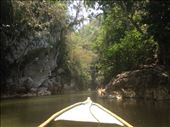 Canoe trip thru Boqueron...Beautiful 
: by cubannomad, Views[217]