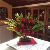 by cubannomad, Views[353]