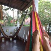 by cubannomad, Views[347]