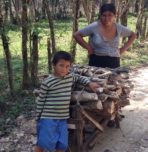 The wise Mayan woman 