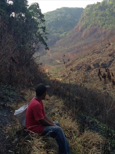 The trail back from the cave. 