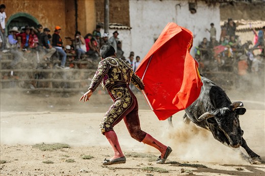 A professional torero, invited to this unique event held yearly on Peru’s Independence day in the remote village of Cotabambas, begins to bullfight with bulls graciously donated by local villagers. Unlike similar events in Mexico and Spain, no bulls are actually hurt or killed and the event occurs in the town square as opposed to a stadium.