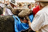 
A condor is captured in the nearby mountains several days leading up to the event. On the day of the event, the condor is blessed and paraded around the makeshift ring for all to see before being attached to a chosen raging bull by villagers. : by cuibono, Views[603]