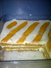 Cutting it up after being frozen overnight...: by culinary_adventure, Views[333]