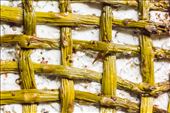 Lattice top roasted asparagus black pepper goat cheese tart: by culinaryexplorer, Views[237]