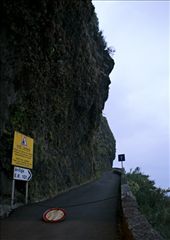 Lets go up: by curious, Views[294]