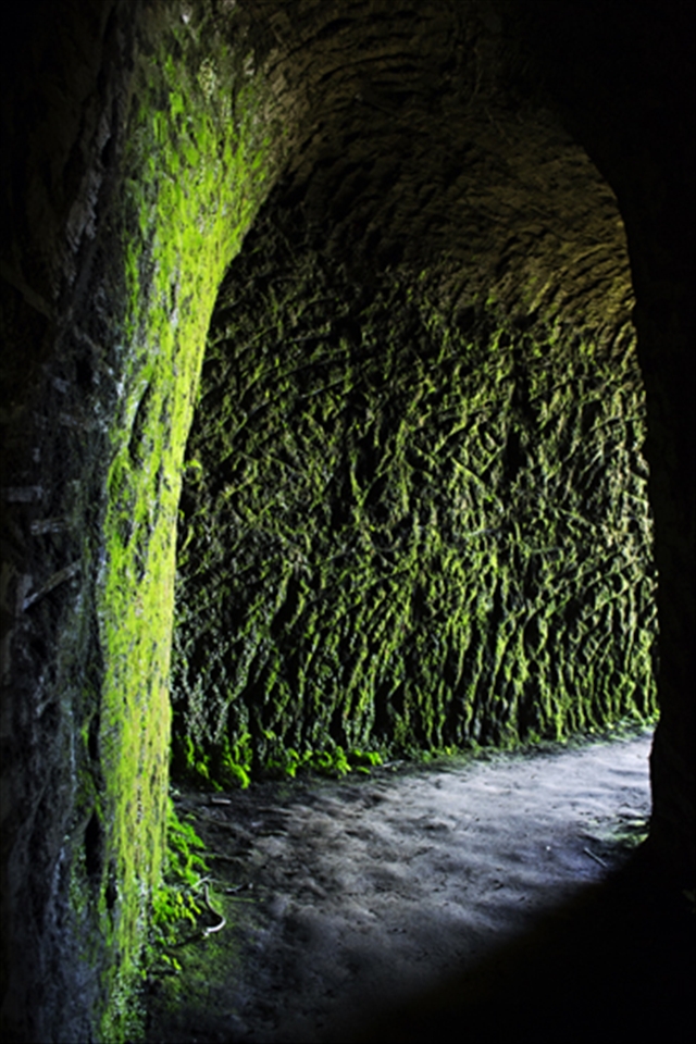 In the heart of the mountain