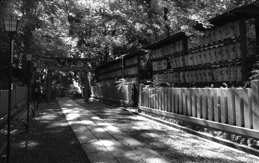 Henro -  Pilgrimage through Darkness to Enlightenment