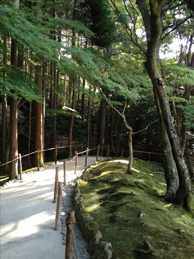 Zen No Michi - The Path Inwards