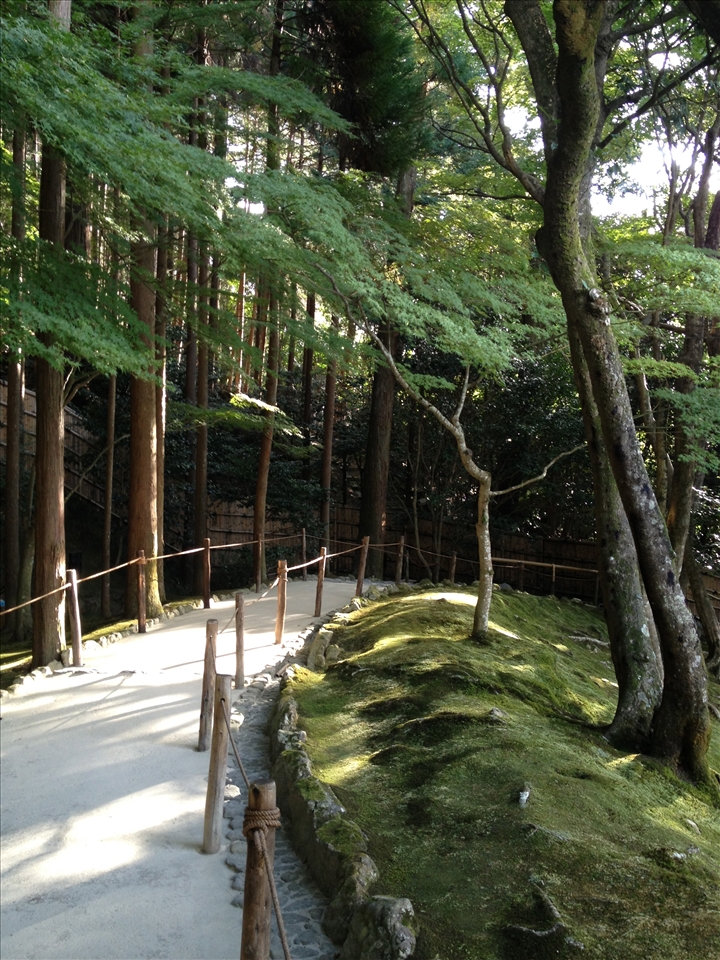Zen No Michi - The Path Inwards