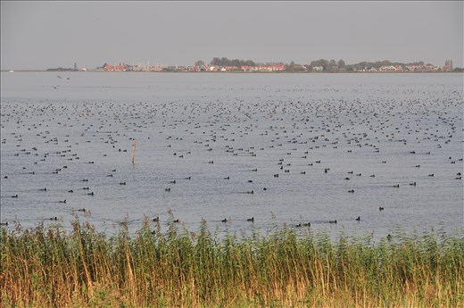 taking in the surrounding beauty