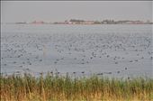 taking in the surrounding beauty: by curiousme, Views[397]